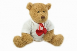 Teddy braun inkl. Mini-T-Shirt Baumwolle, 10 St�ck